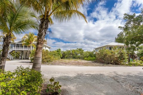 Terreno en venta en Placida, Florida № 1122442 - foto 7