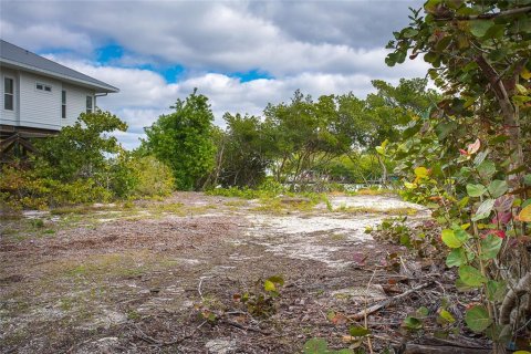 Terreno en venta en Placida, Florida № 1122442 - foto 4