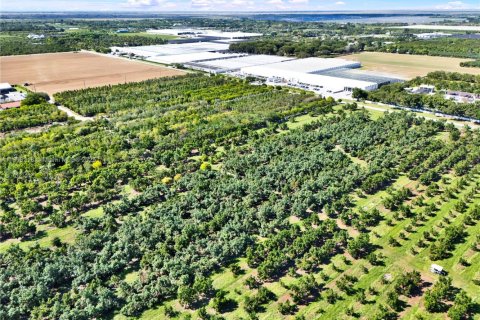 Commercial property in Homestead, Florida № 1956882 - photo 8