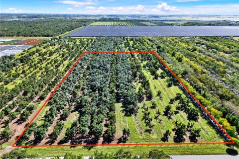 Commercial property in Homestead, Florida № 1956882 - photo 1