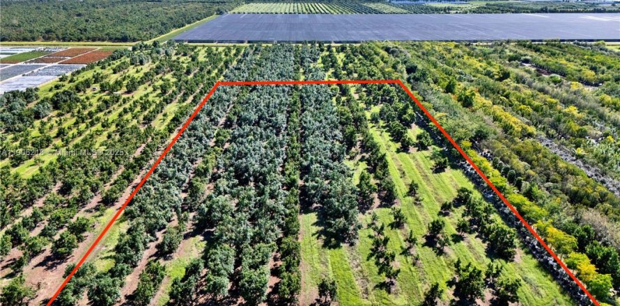 Commercial property in Homestead, Florida № 1956882