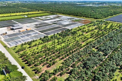 Commercial property in Homestead, Florida № 1956882 - photo 7