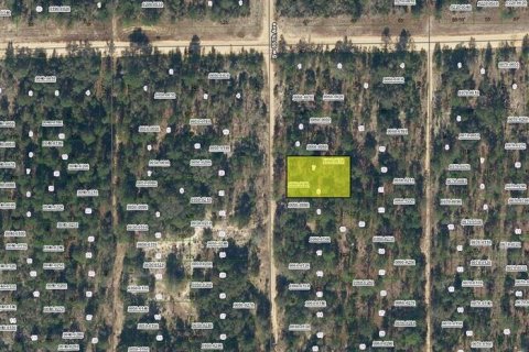 Terreno en Interlachen, Florida № 2213026