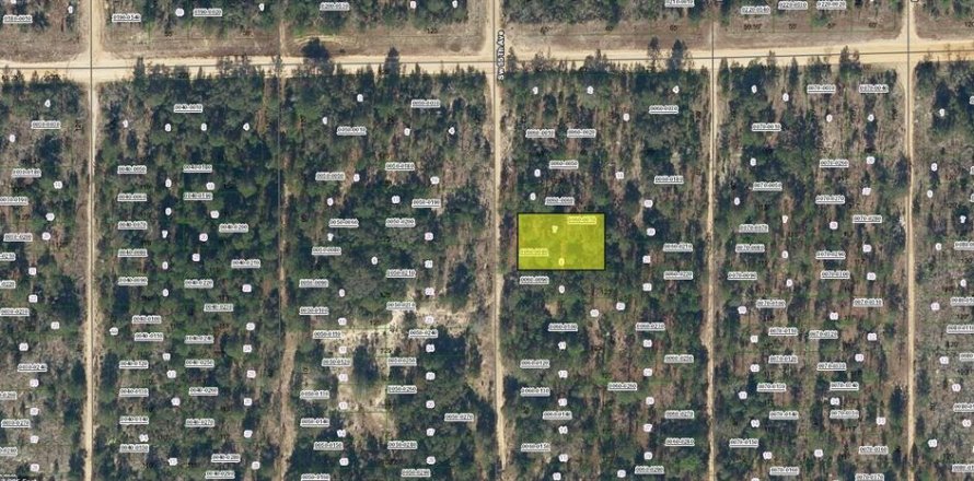 Land in Interlachen, Florida № 2213026