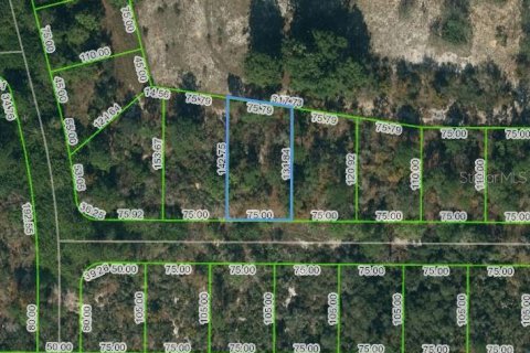 Land in Lake Placid, Florida № 2224132