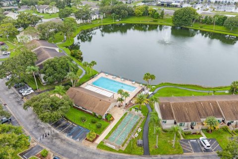Condo in Palm Harbor, Florida, 2 bedrooms  № 1911277 - photo 22