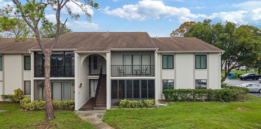 Condo à Palm Harbor, Floride, 2 chambres № 1911277