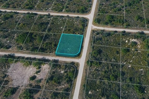 Land in Lake Placid, Florida № 2277422