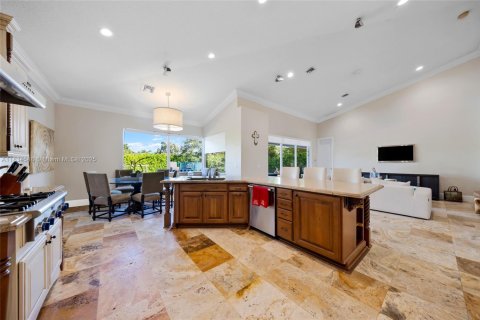 House in Southwest Ranches, Florida 8 bedrooms, 532.52 sq.m. № 1816396 - photo 29