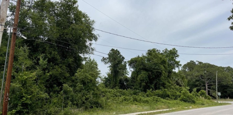 Terreno en Palatka, Florida № 767087