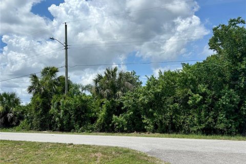 Land in Punta Gorda, Florida № 1758298 - photo 1