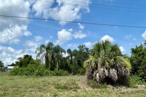 Land in Punta Gorda, Florida № 1758298 - photo 5