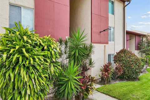 Condo in Tampa, Florida, 1 bedroom № 2224937