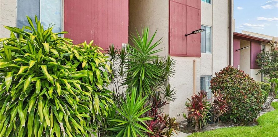 Condo in Tampa, Florida, 1 bedroom № 2224937