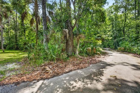 Land in Homosassa, Florida № 2207794 - photo 5