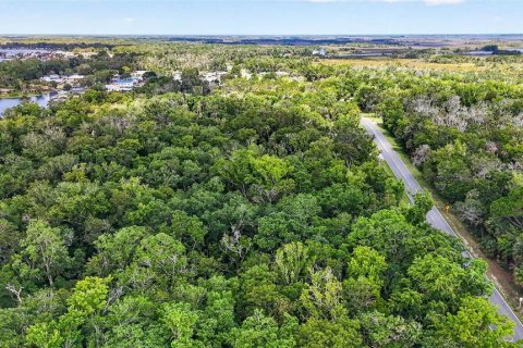 Land in Homosassa, Florida № 2207794 - photo 13