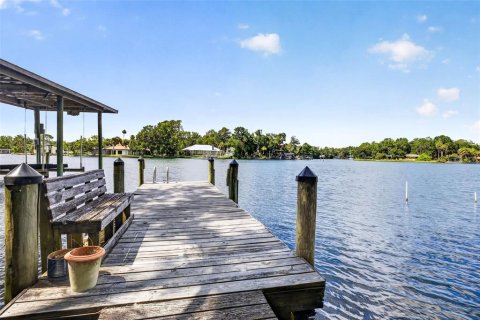 Land in Homosassa, Florida № 2207794 - photo 9