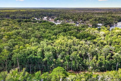 Land in Homosassa, Florida № 2207794 - photo 18