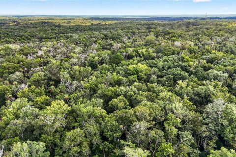 Land in Homosassa, Florida № 2207794 - photo 17
