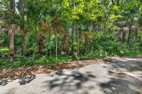 Land in Homosassa, Florida № 2207794 - photo 4