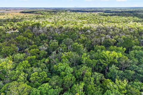 Land in Homosassa, Florida № 2207794 - photo 11