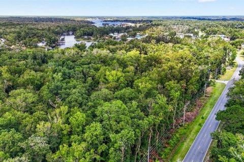 Land in Homosassa, Florida № 2207794 - photo 12
