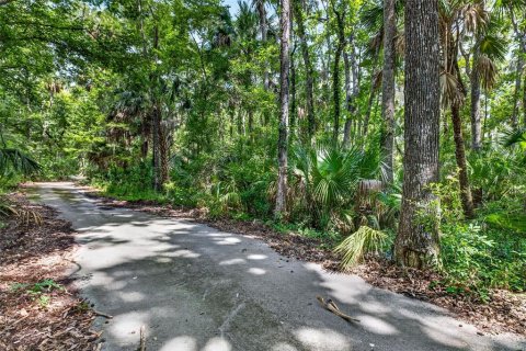 Land in Homosassa, Florida № 2207794 - photo 2