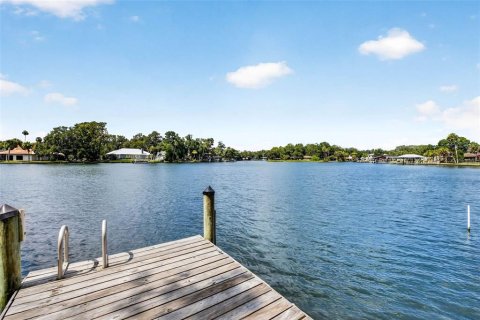 Land in Homosassa, Florida № 2207794 - photo 10