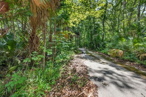 Land in Homosassa, Florida № 2207794 - photo 3