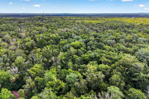 Land in Homosassa, Florida № 2207794 - photo 16