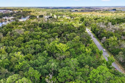Land in Homosassa, Florida № 2207794 - photo 15