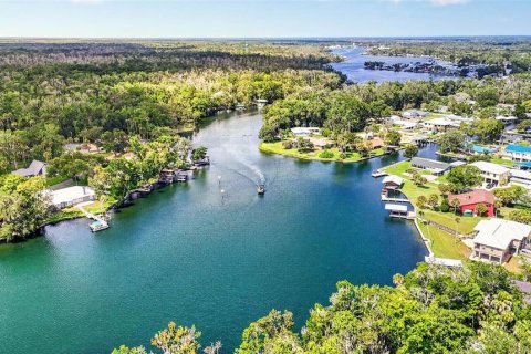 Land in Homosassa, Florida № 2207794 - photo 20