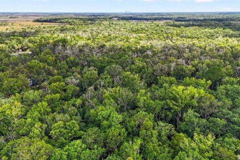 Land in Homosassa, Florida № 2207794 - photo 14