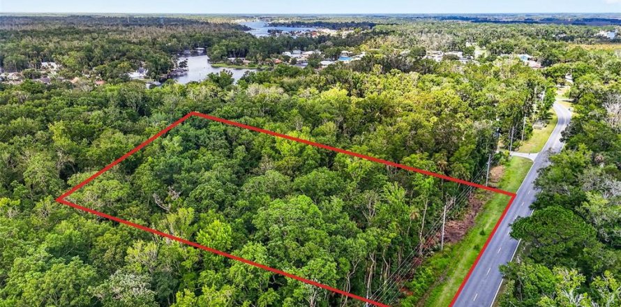 Land in Homosassa, Florida № 2207794