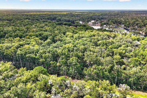Land in Homosassa, Florida № 2207794 - photo 19