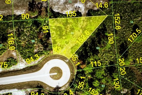 Land in Placida, Florida № 2160492 - photo 4