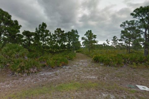 Land in Placida, Florida № 2160492 - photo 5