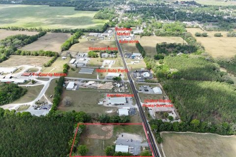 Commercial property in Trenton, Florida 371.61 sq.m. № 2135544 - photo 3