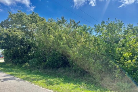 Land in Vero Beach, Florida № 1183216 - photo 1