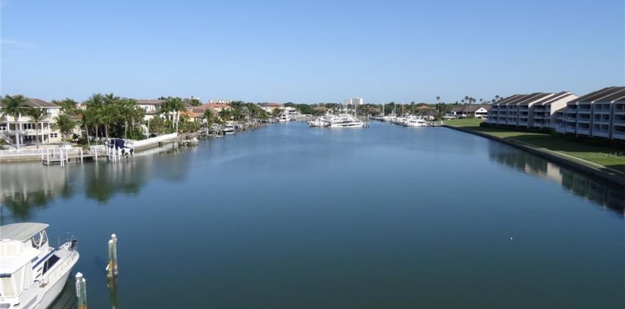 Condo à Saint Petersburg, Floride, 1 chambre № 1894827