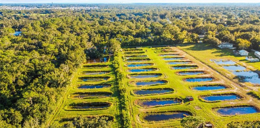 Terrain à Wimauma, Floride № 2426869