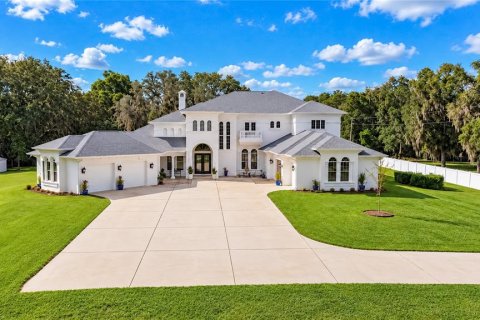 Casa en venta en Ocala, Florida, 5 dormitorios, 671.03 m2 № 2386814 - foto 2