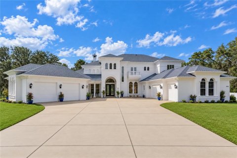 Casa en venta en Ocala, Florida, 5 dormitorios, 671.03 m2 № 2386814 - foto 3