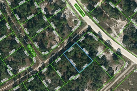Land in Lake Placid, Florida № 2224006