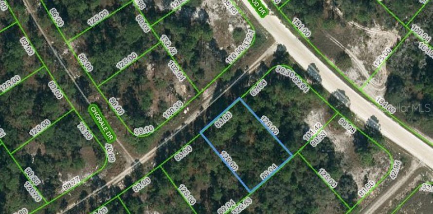 Land in Lake Placid, Florida № 2224006