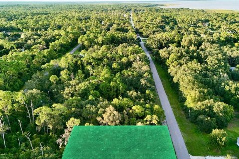 Terrain à vendre à Lake Placid, Floride № 2159266 - photo 6