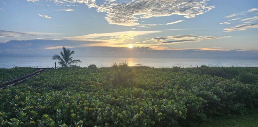 Condo in Hutchinson Island South, Florida, 2 bedrooms  № 2084184