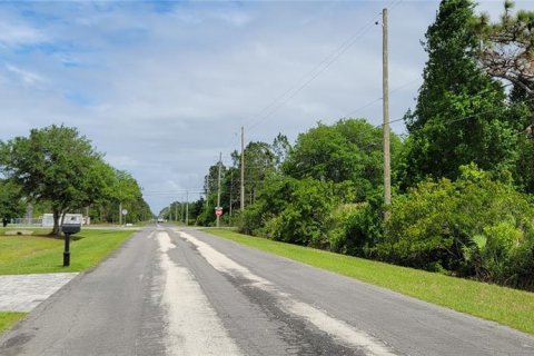 Land in Orlando, Florida № 2391326 - photo 5