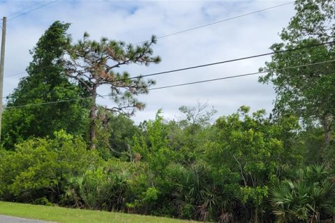 Land in Orlando, Florida № 2391326 - photo 3