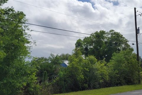 Land in Orlando, Florida № 2391326 - photo 4
